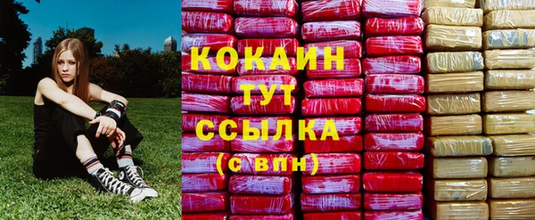 прущие крисы Инта