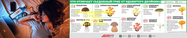 прущие крисы Инта