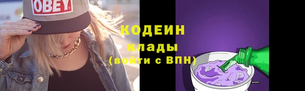 прущие крисы Инта
