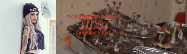 прущие крисы Инта
