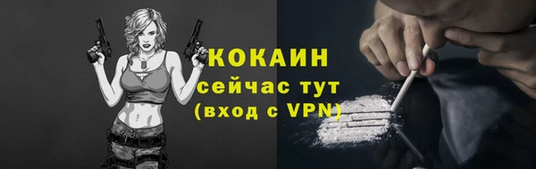 прущие крисы Инта