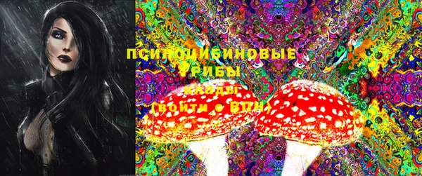 мет Инсар