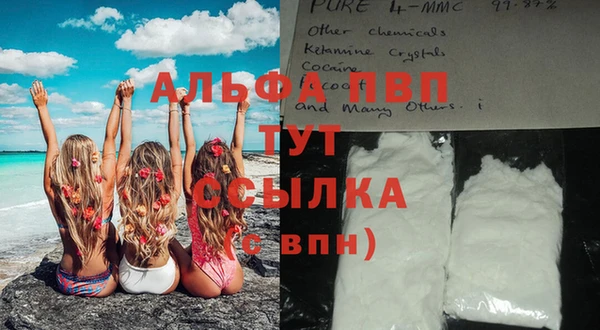 прущие крисы Инта