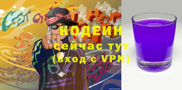 прущие крисы Инта
