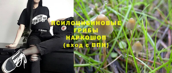 мет Инсар