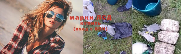 мет Инсар