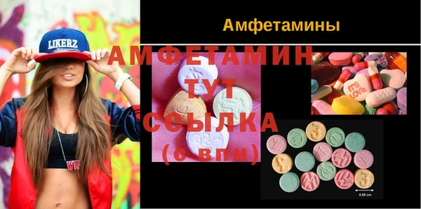 мет Инсар