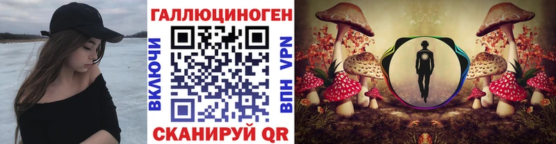 Купить  Аргун  Псилоцибиновые грибы MAGIC MUSHROOMS 